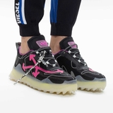 Off-White ODSY-1000 Sneaker 'Hoa Vân Anh'