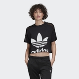 Adidas Áo Cropped Lace Black W