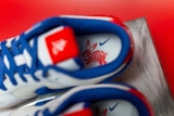 Giày Nike Dunk Low Retro PRM Year of the Rabbit White Rabbit (2023)
