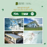 Tổ yến tinh chế sợi 50gr - Việt Nam Quốc Yến