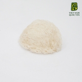 Tổ yến siêu sợi