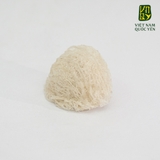 Tổ yến siêu sợi