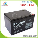 Ắc quy Phoenix 12V-12Ah (TS12120)