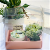 Bánh Bento Và Hoa Cẩm Tú Cầu
