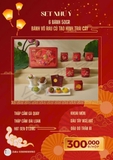 SET NHƯ Ý
