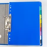 PP Index Divider - 707-10GSV