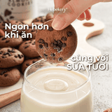 Combo 4 Hũ Cookies Hạnh Nhân Nguyên Cám HeBekery 3 Vị Dark Choco, Mango Matcha, Cà Phê Điều, Cranberry Cheese
