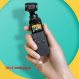 Dịch Vụ Cho Thuê - DJI Osmo Pocket