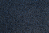 Skin - Vân da xanh