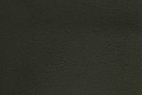 Skin - vân da xanh lá
