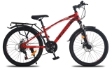 Xe đạp Fornix FX24 24 Inch (1m40-1m65)