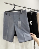 BASIC SHORTS (có big size)