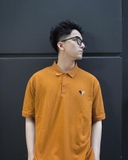 LOGO POLO (bò)