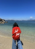 BIG SS TEE     (dark red)