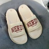 Chữ Nerdy Đỏ Phối Be