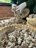 VIÊN HÀ THỦ Ô MẬT ONG