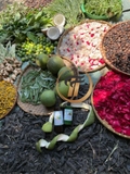 GỘI ĐẦU BỒ KẾT MẦN TRẦU