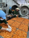 NẤM ĐÔNG TRÙNG HẠ THẢO SẤY THĂNG HOA