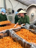 COMBO 2 TINH NGHỆ MẬT ONG ĐÔNG TRÙNG HẠ THẢO