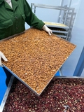 SỮA HẠT THỰC DƯỠNG
