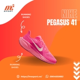 Nike Pegasus 41 FD2723-600