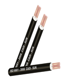 cap-dong-2-ruot-cxv-2-1-5-0-6-1kv-tcvn-5935-1-iec-60502-1