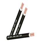 cap-dong-2-ruot-cxv-2-10-0-6-1kv-tcvn-5935-1-iec-60502-1