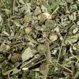 Cây cối xay khô