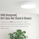 den-op-tran-yeelight-320-pro