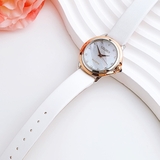 ĐỒNG HỒ NỮ CITIZEN EM0799-00D