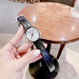 ĐỒNG HỒ NỮ CALVIN KLEIN POSH SILVER WATCH 32MM K8Q331C6