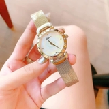 ĐỒNG HỒ NỮ  SALVATORE FERRAGAMO STYLE WATCH SFDM00718