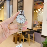 ĐỒNG HỒ NỮ TISSOT PR 100 T101.210.11.031.00 SPECIAL EDITION 33MM (T1012101103100)