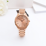 ĐỒNG HỒ NỮ CITIZEN EM0758-58X