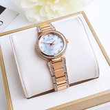 ĐỒNG HỒ NỮ CITIZEN EM0843-51D