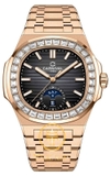 ĐỒNG HỒ CARNIVAL NAUTILUS 8110G-VH-D