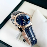 ĐỒNG HỒ NỮ FREDERIQUE CONSTANT 206NSD1S4 SIZE 30