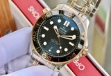ĐỒNG HỒ NAM OMEGA SEAMASTER 210.20.42.20.01.001-21020422001001 CASE VÀNG 18K