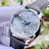 ĐỒNG HỒ NAM OMEGA SEAMASTER AQUA TERRA GREY MOTHER OF PEARL 231.13.39.21.57.001 (23113392157001)