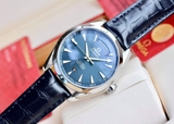 ĐỒNG HỒ OMEGA AQUA TERRA 231.13.42.22.03.00 (23113422203001)