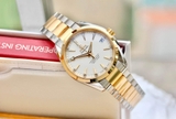 ĐỒNG HỒ OMEGA AQUA TERRA 23120392102002 231.20.39.21.02.002