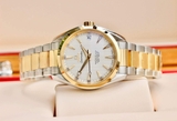 ĐỒNG HỒ OMEGA AQUA TERRA 23120392102002 231.20.39.21.02.002