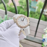 ĐỒNG HỒ OMEGA AQUA TERRA 231.28.34.20.55.003 (23128342055003) MASTER 34MM