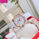 ĐỒNG HỒ NỮ OMEGA SEAMASTER AQUA TERRA 231.53.34.20.55.001(23153342055001) 34MM