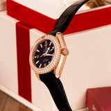 ĐỒNG HỒ NAM OMEGA SEAMASTER PLANET OCEAN 600M CO-AXIAL CHRONOMETER 232.58.38.20.01.001 (23258382001001)