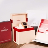 ĐỒNG HỒ NAM OMEGA SEAMASTER PLANET OCEAN 600M CO-AXIAL CHRONOMETER 232.58.38.20.01.001 (23258382001001)