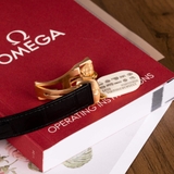 ĐỒNG HỒ NAM OMEGA SEAMASTER PLANET OCEAN 600M CO-AXIAL CHRONOMETER 232.58.38.20.01.001 (23258382001001)