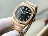 ĐỒNG HỒ NAM CARNIVAL NAUTILUS 8108G-VH-D