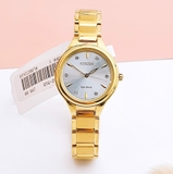 ĐỒNG HỒ NỮ CITIZEN FE2102-55A