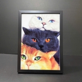 Khung Ảnh Đen Đơn Gỉan 251BL